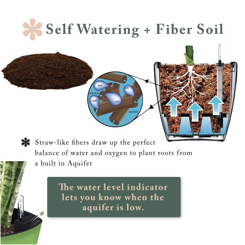 Window Garden Aquaphoric Herb Garden Tub Self Watering Planter Plus Fiber Soil