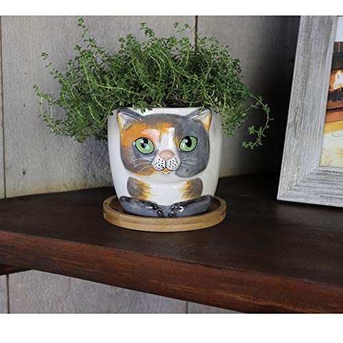 Window Garden Animal Planters - Large Kitty Pot (Barney) Purrfect for Indoor Live House Plants, Succulents, Flowers and Herbs, Super Cute Planter Gift for Cat Lovers, Office, Christmas.