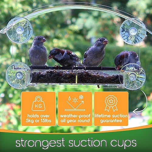 Window Bird Feeder With Strong Suction Cups 2023 Outside Mounted Transparent