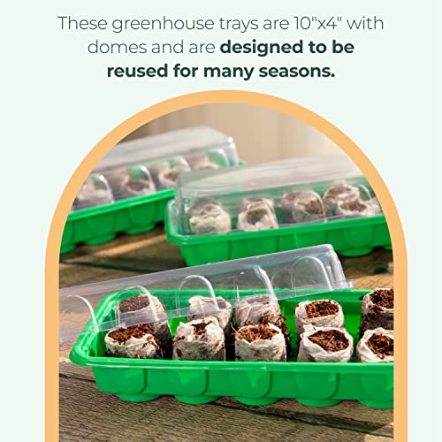 Window Garden Mini Greenhouse Kit 3 Pack Seedling Soil Pods Indoor Seed Starter