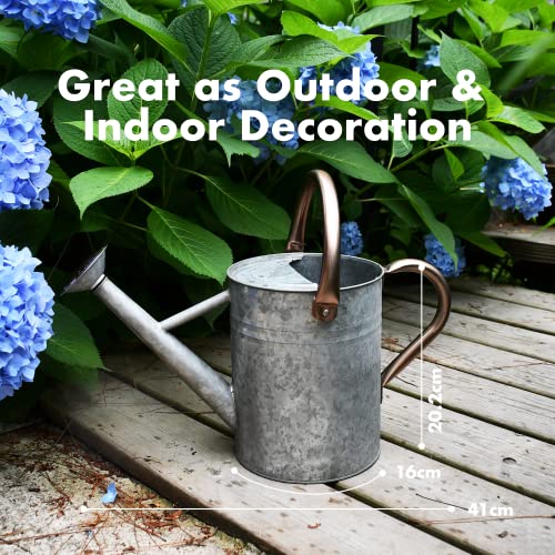 Homarden 1 Gal Silver Watering Can Metal Removable Spout Indoor Outdoor Plant