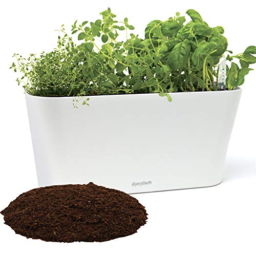 Aquaphoric Herb Garden for Indoor Herbs Watering Planter Box With 6 Quarts