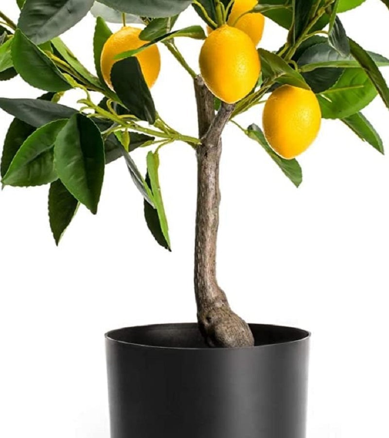 Velener Mini Artificial Lemon Tree Potted Bonsai Plant 19 inches