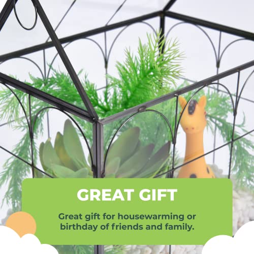 Window Garden Glass Terrarium with Lid - 9x11x6-Inch Indoor Greenhouse Plant Terrarium Decor Planter Dome - Terrarium Kit Tabletop Greenhouse - Plant Accessories Ideal Gift for Nature Lovers