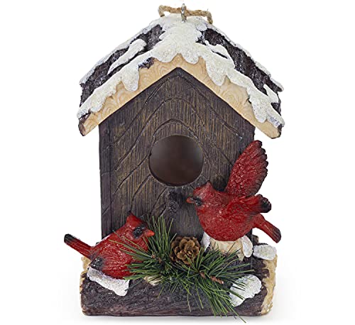 VP Home Hanging Bird Houses HandPainted Decorative Winter Cardinals