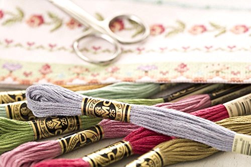 DMC Bulk Buy Thread 6 Strand Embroidery Cotton 8.7 Yards Dark 117-780 12 Pack
