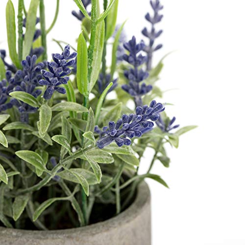 Velener Mini Fake Lavender Flowers in Pot Set of 3 White Blue & Purple