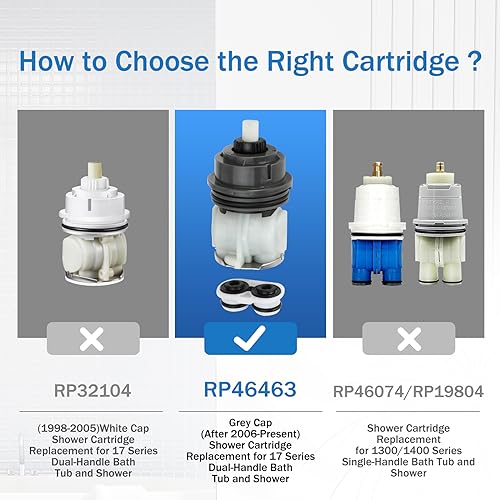 RP46463 Cartridge Replacement Kit Compatible with Monitor 17 Series Showers