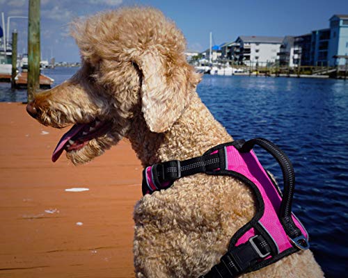 Black Rhino - The Comfort Dog Harness with Mesh Padded Vest for Small - Large Breeds | Adjustable | Reflective | 2 Leash Attachments on Chest & Back - Neoprene Padded Training Handle (Medium, Pink/Bl)