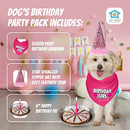 JT PET Dog Birthday Girl Party Pack Cake Bandana Party Hat Vegan Pie