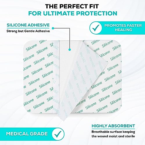Medvance Tm Silicone Adhesive Foam Absorbent Dressing 6 X8 Inch Box of 5 Dressings