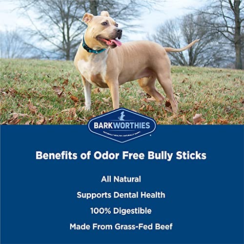Barkworthies Odor-Free 6-inch Bully Sticks (5 Pack) - Healthy Dog Chews - Protein-Packed, Highly Digestible, All-Natural Rawhide Alternative Dog Treats - Promotes Dental Health