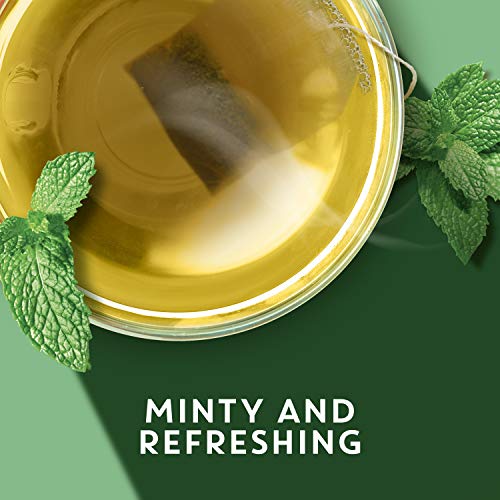 TAZO REFRESH Mint Herbal Tea Bags Caffeine-Free 20 Herbal Tea Bags