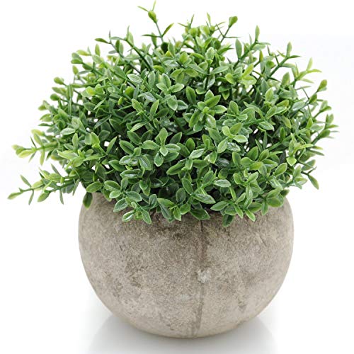 Velener Mini Plastic Artificial Plants Benn Grass in Pot Bonsai, Faux Plants, Fake Grass Home Decor Accents Green