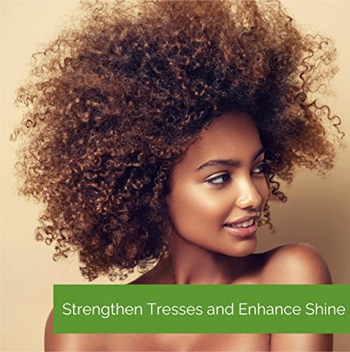 GIOVANNI 2chic Ultra-Moist Deep Moisture Hair Mask, 5 oz. - Avocado & Olive Oil, Creamy Hydration Formula, Enriched with Aloe Vera, Shea Butter, Botanical Extracts, No Parabens, Color Safe