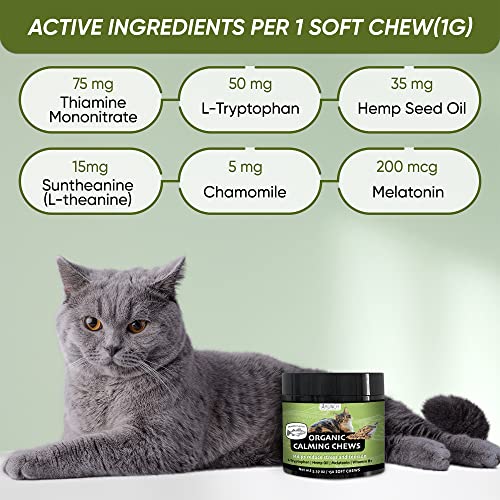 150 Hemp Cat Calming Treats With Cat Melatonin Calming Chews Calming Products