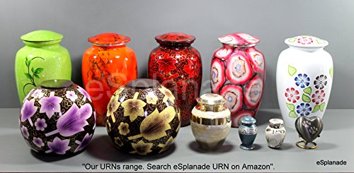 eSplanade Pet Cremation Urn Memorials urn Container Jar Pot