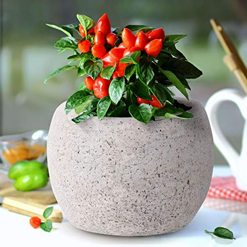 INSPIRELLA Timeless Modern Indoor Flower Pot – 5.4”