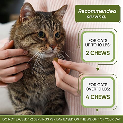 150 Hemp Cat Calming Treats With Cat Melatonin Calming Chews Calming Products