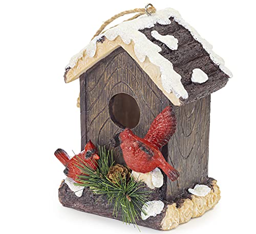 VP Home Hanging Bird Houses HandPainted Decorative Winter Cardinals