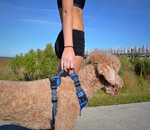 Black Rhino Comfort Dog Harness Mesh Padded Vest Adjustable Reflective Large Blue Gr
