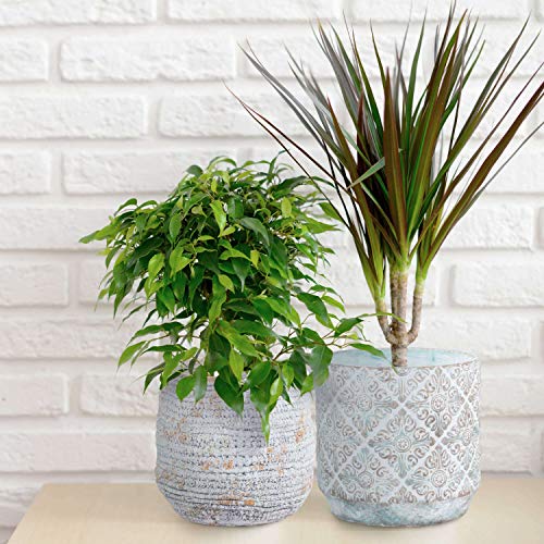 INSPIRELLA Timeless Modern Indoor Flower Pot – 6.5”