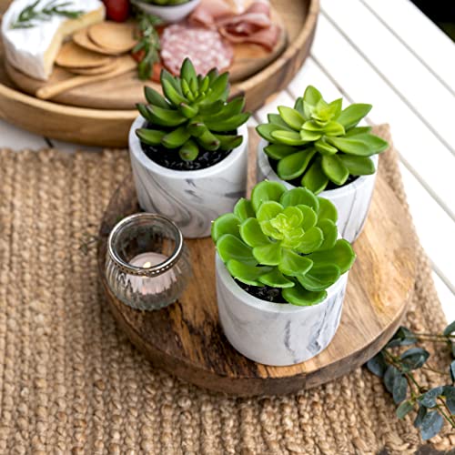 Kurrajong Farmhouse Set of 3 Artificial Succulent Plants in pots