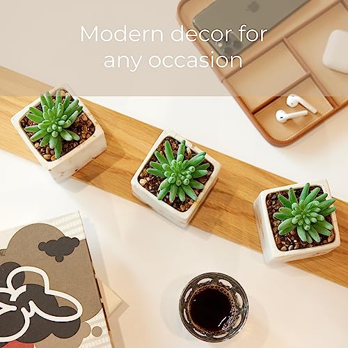 Nordik Square Marble Pots with Gold Vein Accents - Set of 3 - Modern Office and Home Decor - Lifelike Faux Plants - Artificial Desk Plants for Office and Bathroom - Mini Indoor Cactus