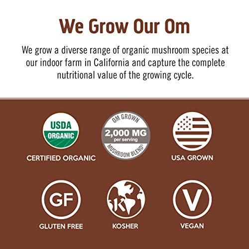Om Mushroom Superfood Coffee Blend Mushroom Powder, Single Serve, 10 Count, Organic Arabica Beans, Lion's Mane, Cordyceps, Turkey Tail, Reishi Extract, Ginkgo Biloba, Supports Energy and Focus