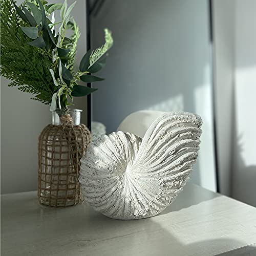 Huey House Nautilus Shell Sculpture Replica Beach Themed Ocean Decor for Home