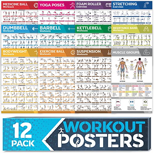 Laminated Large Workout Poster Set - Perfect Workout Posters