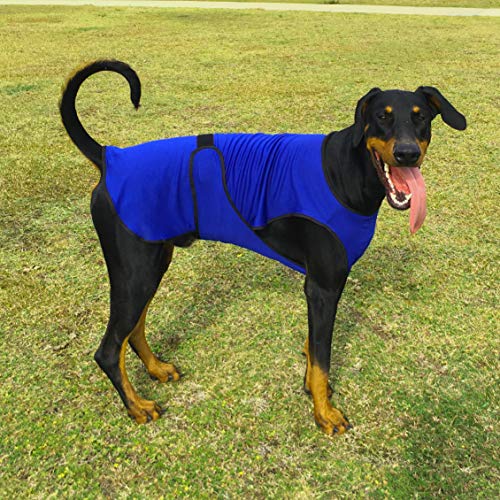 DOGZSTUFF Dog Cooling Vest. Lightweight Jacket with Evaporative Cool Microfiber Technology, UV Protection Shirt for Beach, Sizing for Small, Medium and Large Dogs (XS, Dark Blue)