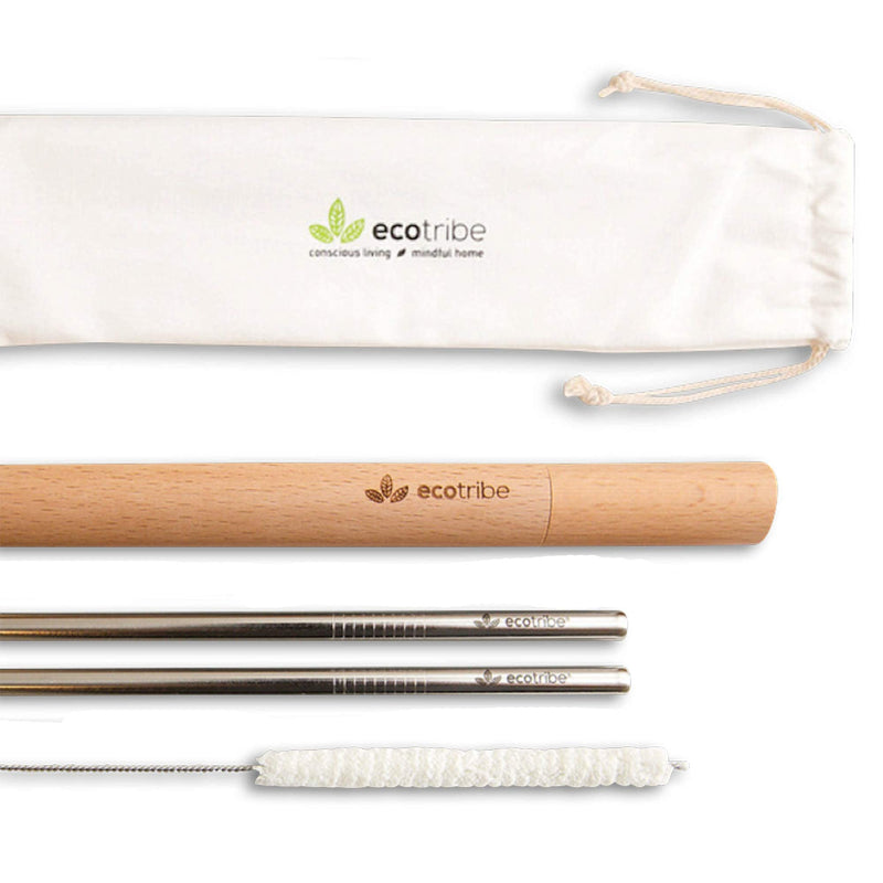 Ecotribe Stainless Steel Straws Set 2 Straws Case Brush Pouch