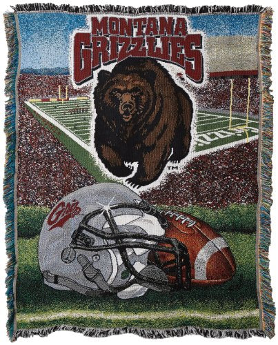 Northwest NCAA Unisex-Adult Woven Tapestry Throw Blanket 48" x 60"