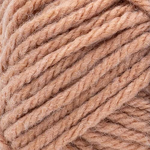 Lion Brand Knitting Yarn Hue & Me Yarn Bellini 617-102 (3-Skeins) Same Dye Lot Chunky Bulky