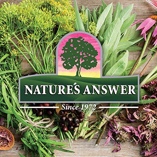 Natures Answer Bitters Ginger 2 Fl Oz Alcohol Free Digestive Support