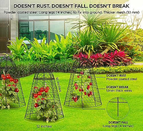 Garden Cloche Plant Protectors From Animals 12 Inch Cage 20 Inch High Set of 6