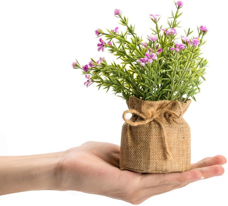 Velener Mini Baby's-Breath Flower Pot for Home Décor