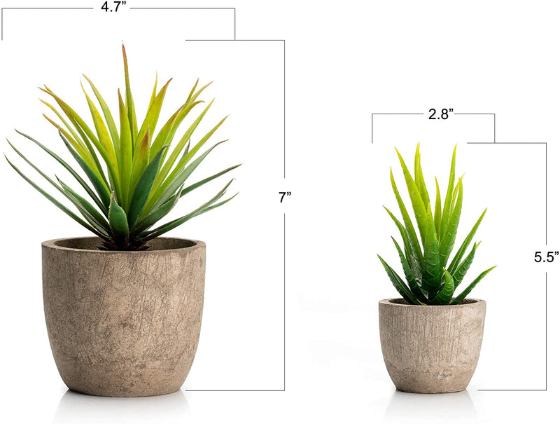 Mini Home Decoration Aloe Vera Artificial Plants 7 inches and 5 inches