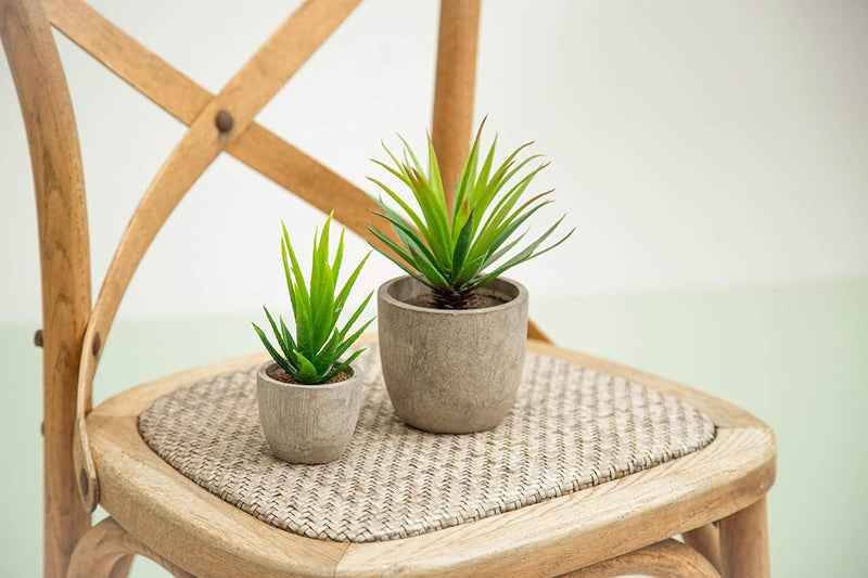 Mini Home Decoration Aloe Vera Artificial Plants 7 inches and 5 inches