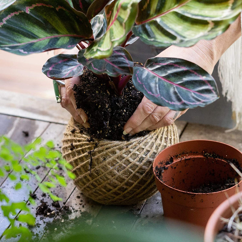 Plant pot Garden Planter Glass Hemp and Jute Natural