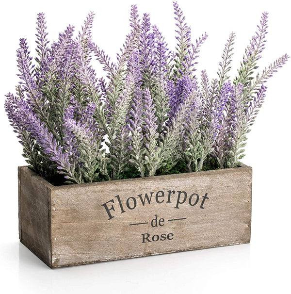 Lavender Plant with Wooden Tray  9" Long
