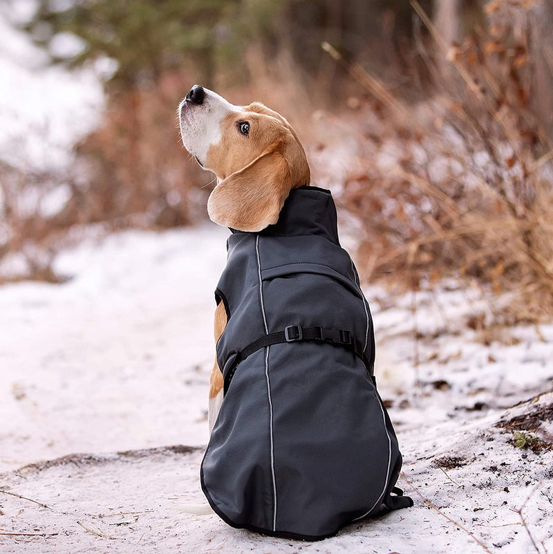 Dog Winter Coat with Smart Heat-Reflective Insulation Large