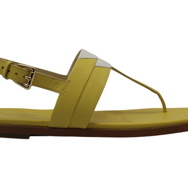 Cole haan ainslee store