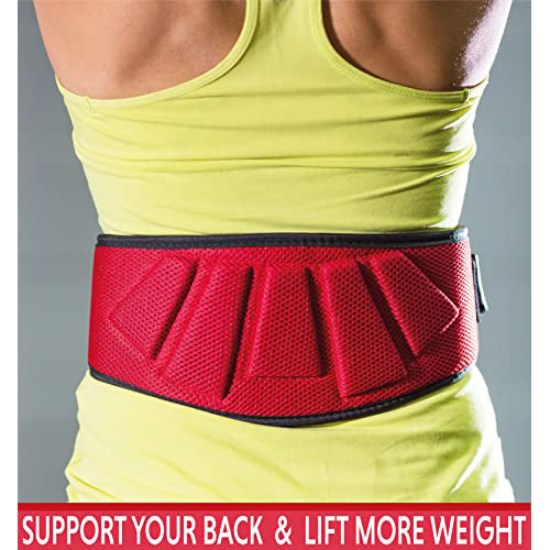 Rip Toned 6 Inch Weightlifting Belt Back Support Weightlifting Black Small