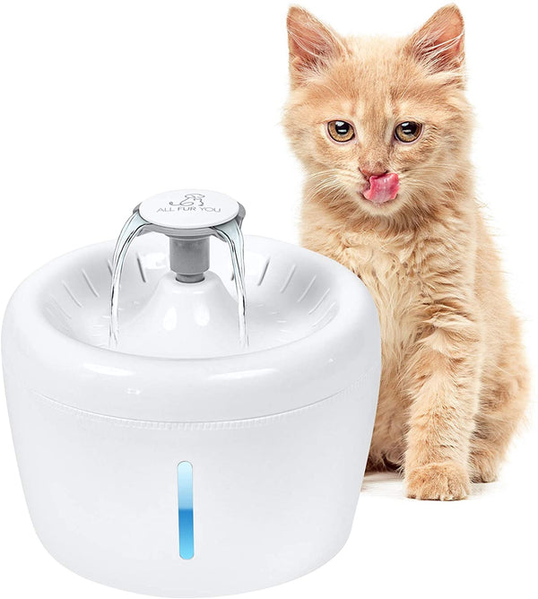 Automatic Dog Filtered Water Fountain Pet Cat Drink Bowl (Refurbished)
