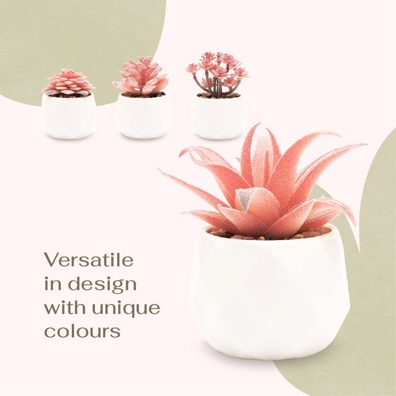 VIVERIE Faux Succulents in White Ceramic Pots