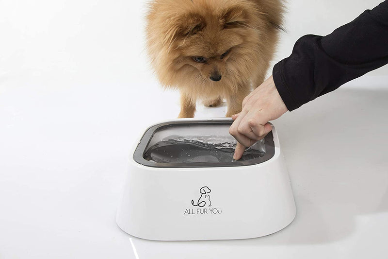 Dog Water Bowl Anti Splash No Spill Pet Cat- White