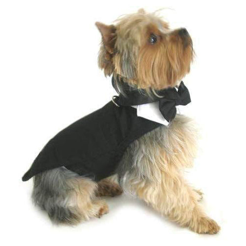 Black Dog Harness Tuxedo W Tails Bow Tie Cotton Collar